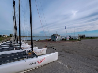 Apartment Saint-Vaast-la-Hougue Umgebung 35