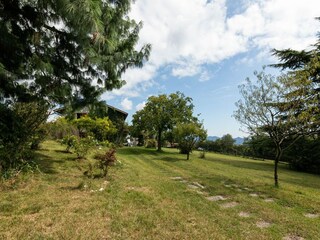 Vakantiehuisje Cavaso del Tomba Omgeving 39