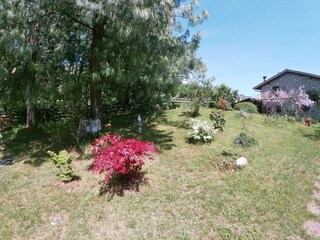 Holiday cottage Cavaso del Tomba Outdoor Recording 6
