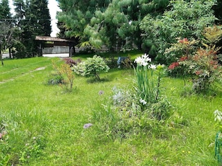 Casa vacanze Cavaso del Tomba Registrazione all'aperto 5