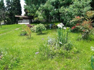 Vakantiehuisje Cavaso del Tomba Buitenaudio-opname 3