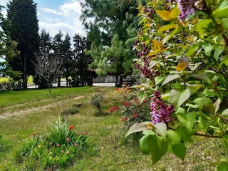 Maison de vacances Cavaso del Tomba Enregistrement extérieur 5