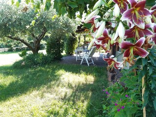 Cottage Cavaso del Tomba Außenaufnahme 11