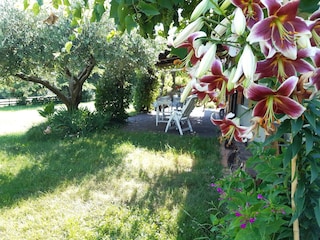 Maison de vacances Cavaso del Tomba Enregistrement extérieur 1