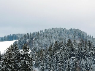 Apartment Altenau im Oberharz Outdoor Recording 12