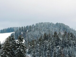 Appartement Altenau im Oberharz Buitenaudio-opname 11