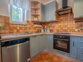 Villa Tribalj Caratteristiche 21