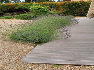 Casa per le vacanze Antibes Registrazione all'aperto 17