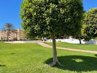 Casa de vacaciones Roquetas de Mar Grabación al aire libre 8