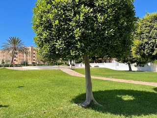 Ferienhaus Roquetas de Mar Außenaufnahme 9