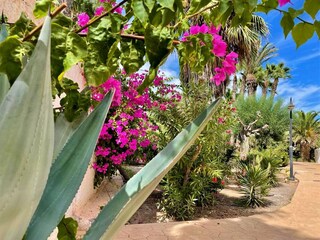 Ferienhaus Roquetas de Mar Außenaufnahme 12