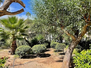 Ferienhaus Roquetas de Mar Außenaufnahme 8