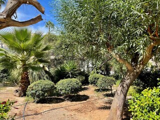Casa de vacaciones Roquetas de Mar Grabación al aire libre 16
