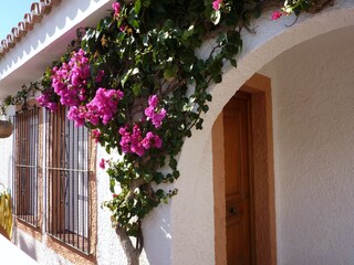 Ferienhaus Mijas Außenaufnahme 4
