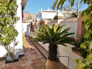 Holiday house Mijas Outdoor Recording 9