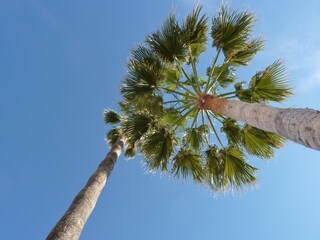 Casa per le vacanze Mijas Registrazione all'aperto 9