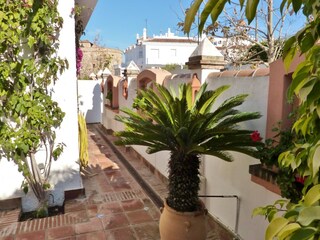 Ferienhaus Mijas Außenaufnahme 9