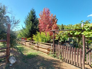 Holiday house Pescaglia Outdoor Recording 11