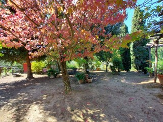 Holiday house Pescaglia Outdoor Recording 11