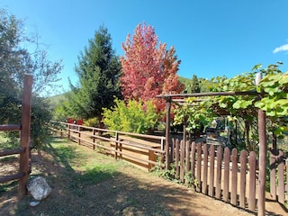 Holiday house Pescaglia Outdoor Recording 10