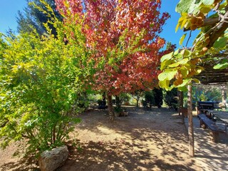 Maison de vacances Pescaglia Enregistrement extérieur 6