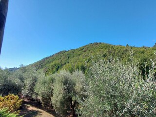 Holiday house Pescaglia Outdoor Recording 6