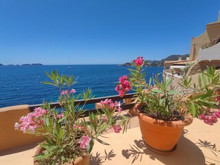 Vakantieappartement Paguera  38