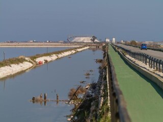 Villa Novoli Environnement 23