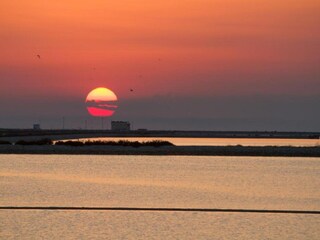 Villa Novoli Ambiente 32