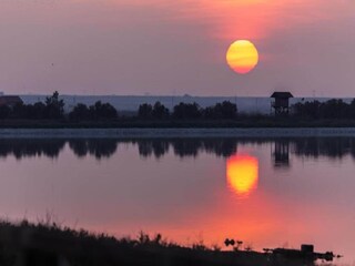 Villa Novoli Ambiente 35