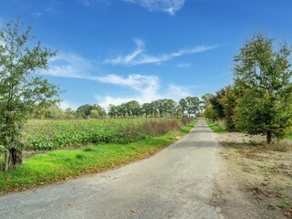 Vakantiehuis Westendorp Omgeving 32
