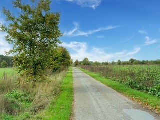 Vakantiehuis Westendorp Omgeving 33