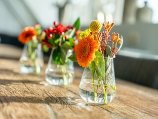 Holiday house Westendorp  39