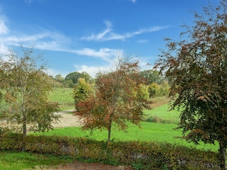 Ferienhaus Westendorp Außenaufnahme 3