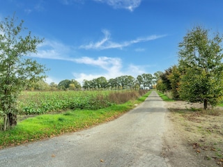 Vakantiehuis Westendorp Omgeving 31