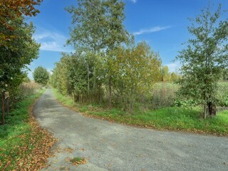 Holiday house Westendorp Environment 30