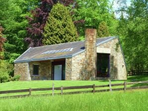 Schönes Ferienhaus in Moutoûyet mit Garten - Stoumont - image1