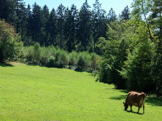 Vakantiehuis Stoumont Buitenaudio-opname 9