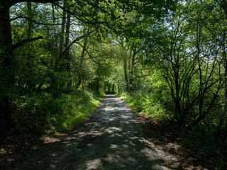 Vakantiehuis Stoumont Omgeving 32