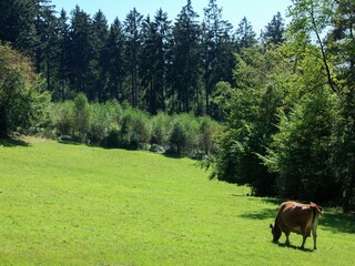 Vakantiehuis Stoumont Buitenaudio-opname 8