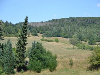 Appartamento Frankenberg an der Eder Ambiente 31