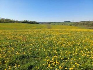 Appartement Frankenberg an der Eder Environnement 26