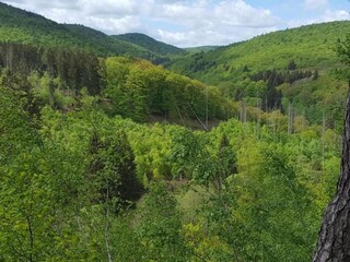 Apartment Frankenberg an der Eder Environment 30