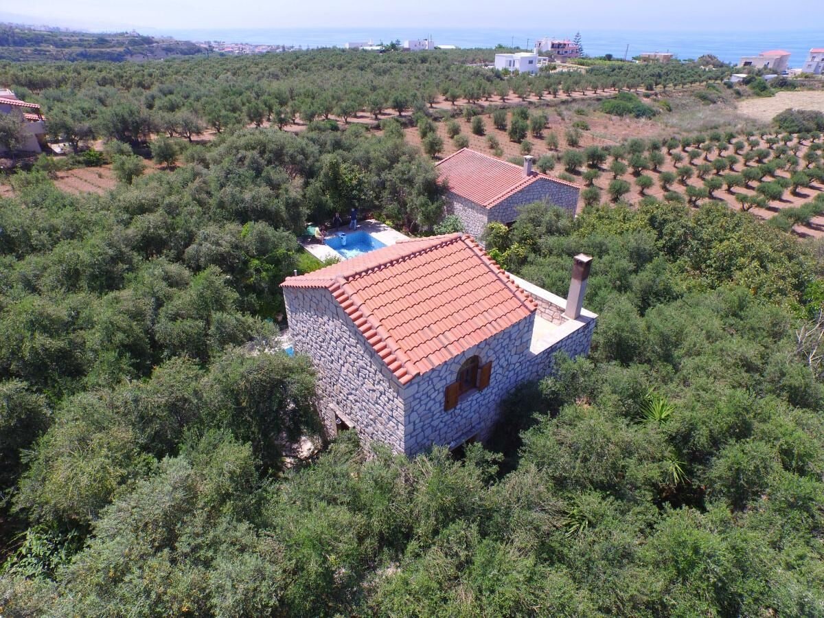 Villa Stelo im Olivenhain