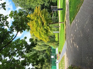 Basketballplatz an den Visselseen