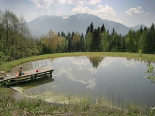 Apartment Feistritz ob Bleiburg Außenaufnahme 5