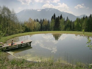 Appartement Feistritz ob Bleiburg Enregistrement extérieur 5