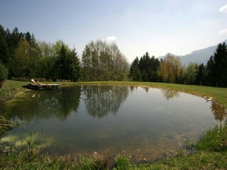 Apartamento Feistritz ob Bleiburg Grabación al aire libre 12