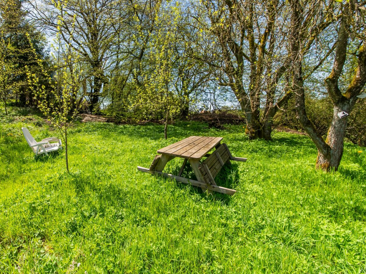 Ferienhaus Paliseul Ausstattung 12