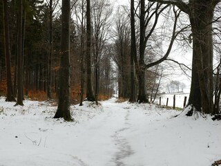 Maison de vacances Paliseul Environnement 37